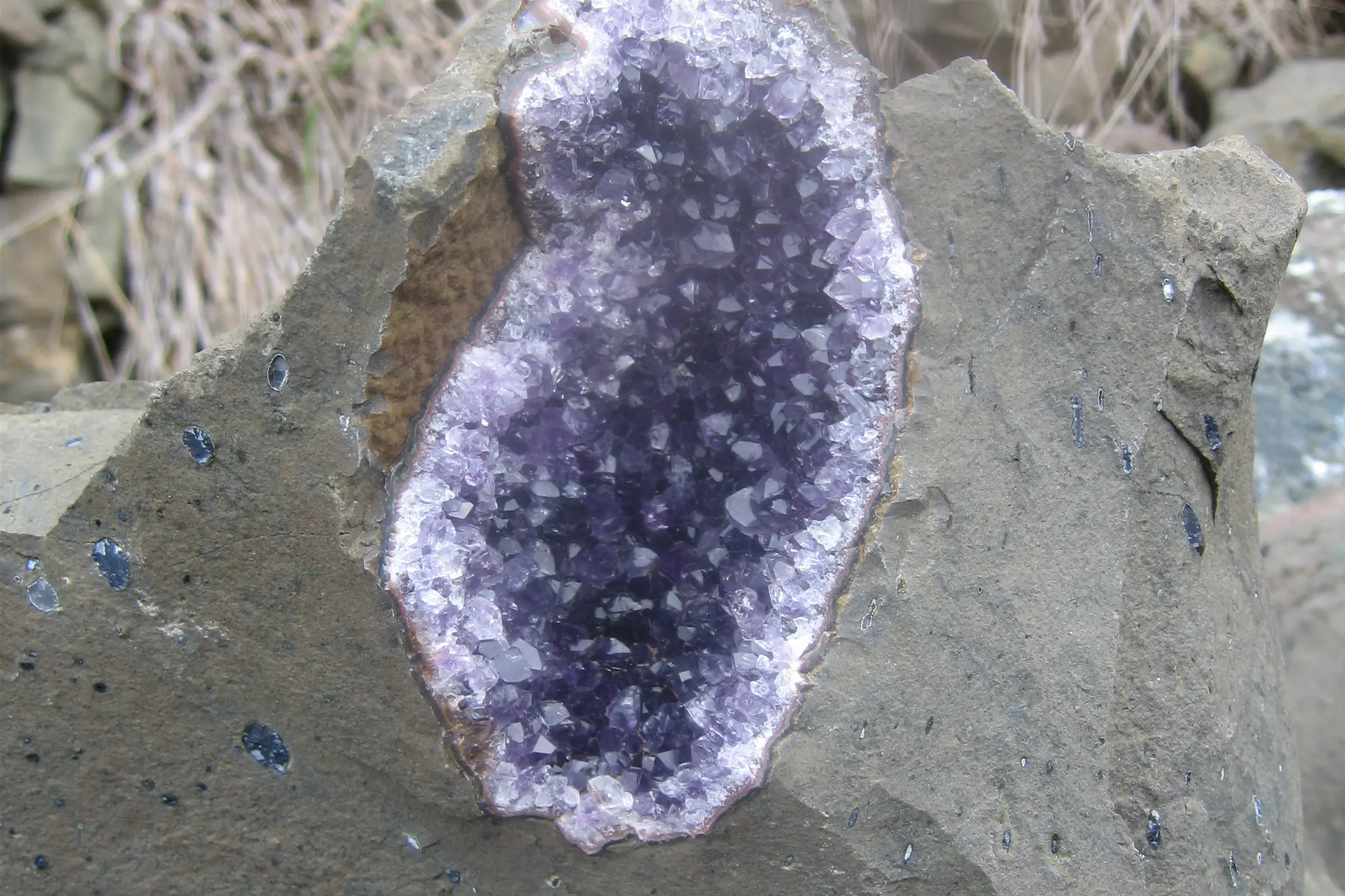 Amethyst in Basaltmatrix, Ametista do Sul. TOP GEO Expedition 2006